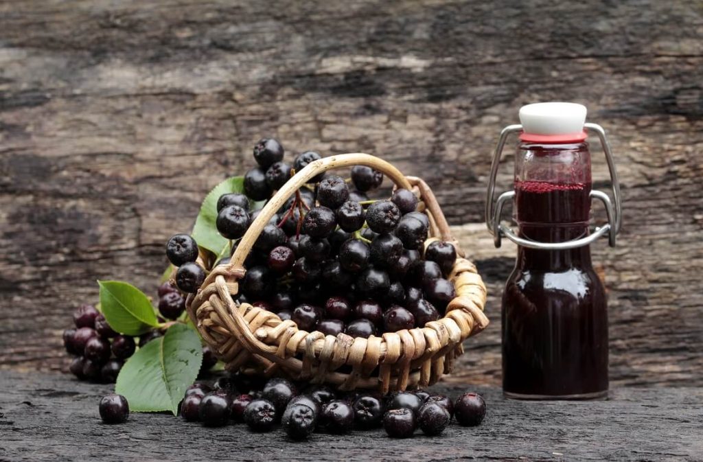 Kako Napraviti Sirup od Aronije i Zašto Ga Trebate Piti