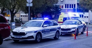 Nektarina razbila prozor