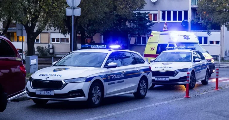 Nektarina razbila prozor